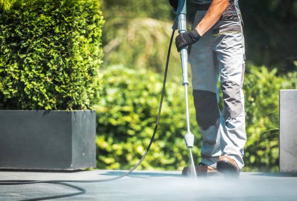 Best Fence Cleaning  in Beach, ND